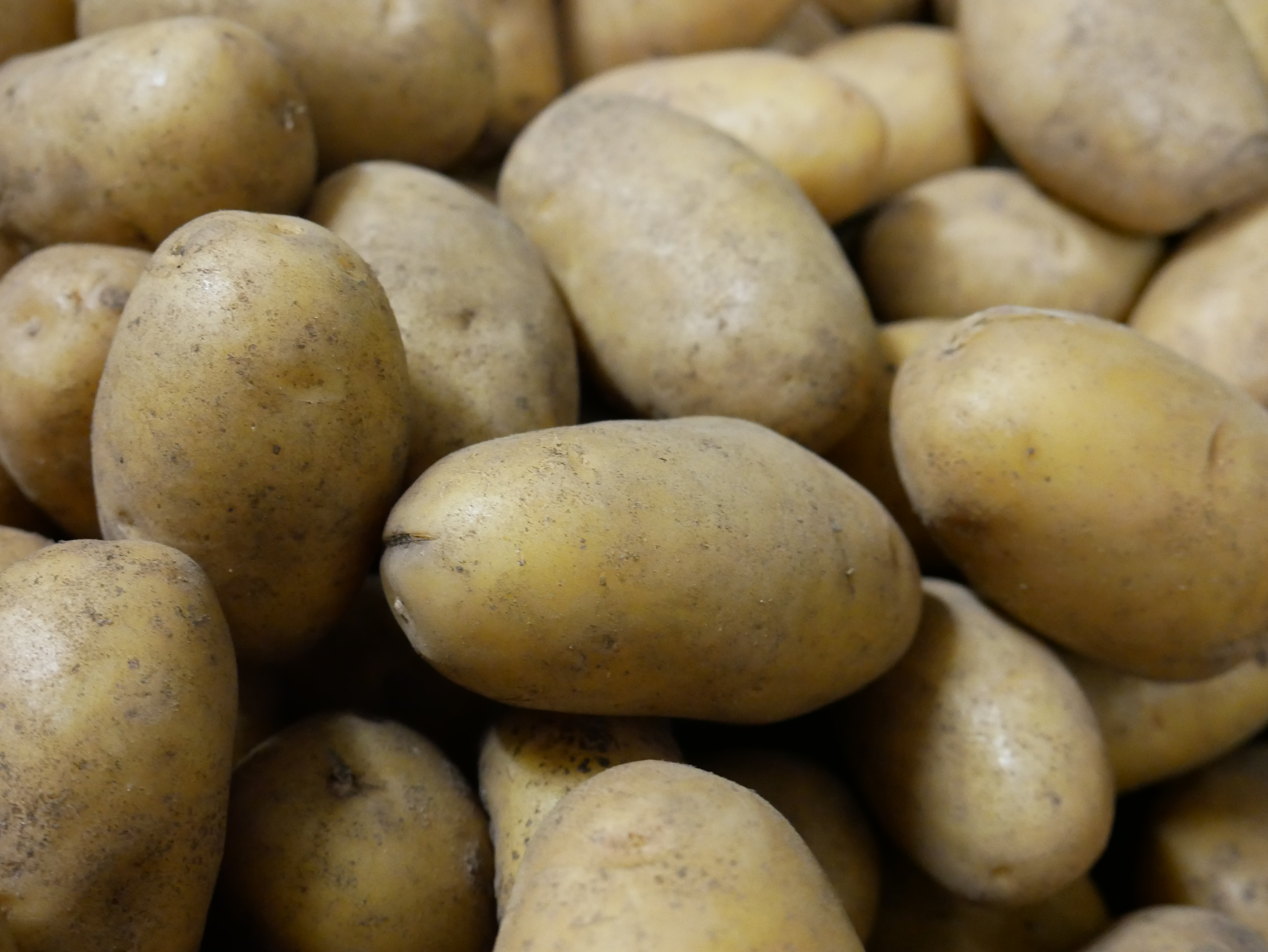 Kartoffelsorten - welche eignet sich eigentlich für was?