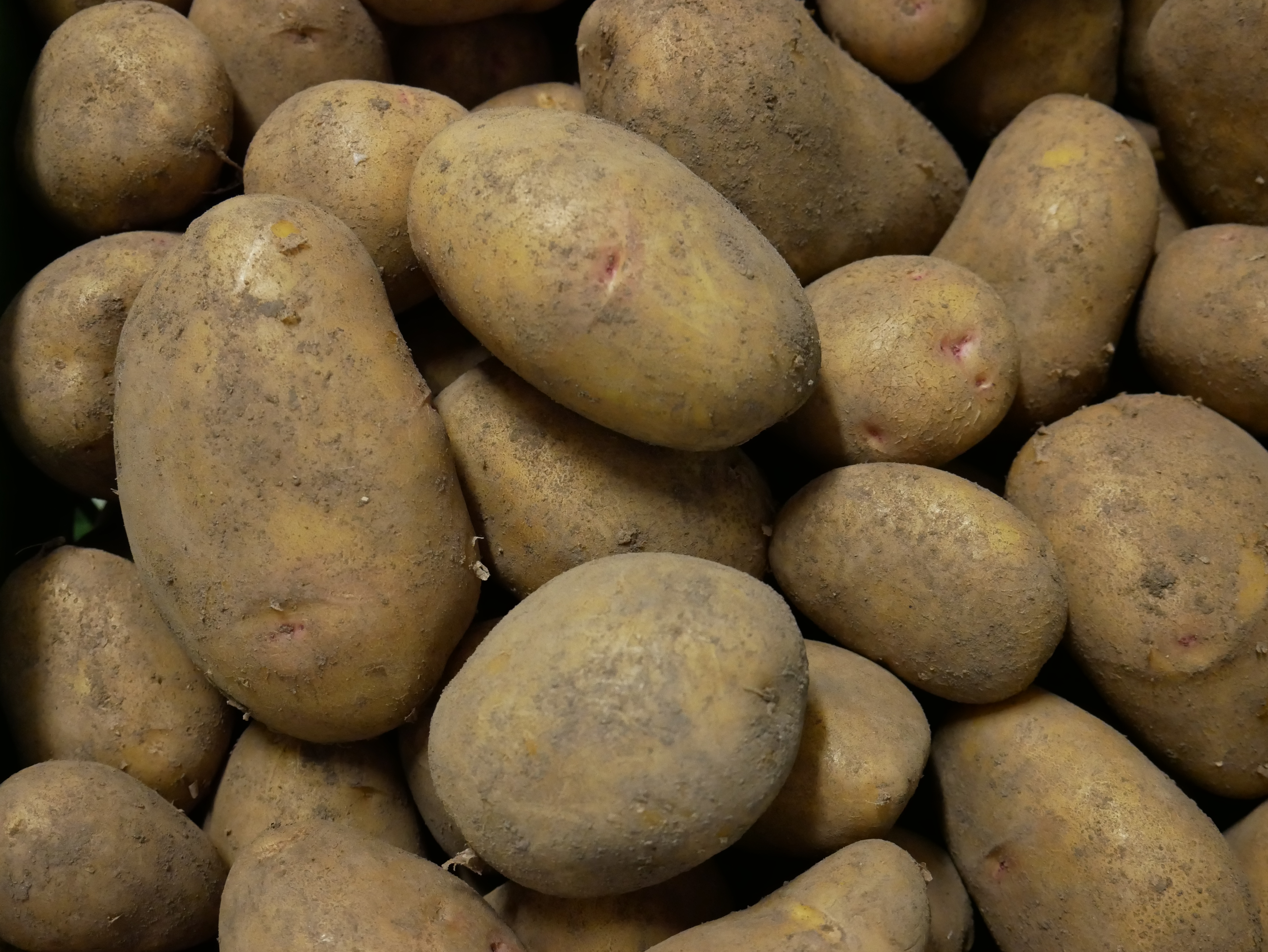 Welche Kartoffeln Haben Mehr Starke